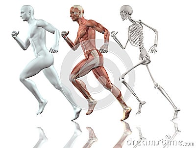 Male Figure Running Stock Illustration Image 51689859