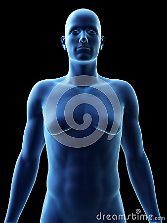 A male with gynecomastia Cartoon Illustration