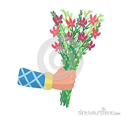 Male hand hold spring blossom flower, male arm give present bouquet pick field floret isolated on white, flat vector Vector Illustration