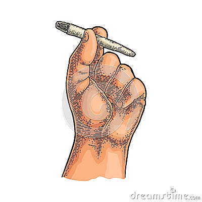 Male hand holding burning cigarettes with marijuana. Engraving vintage Vector Illustration