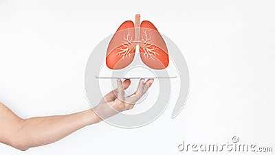 Male hand holding digital tablet with anatomy lung check up isolated on white background, Man hand with tablet lung check up, Stock Photo