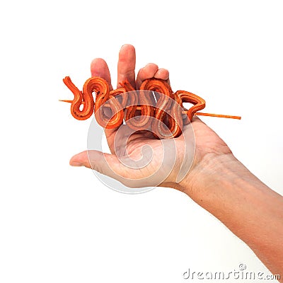 Male hand holding grilled snakes on a skewer Stock Photo