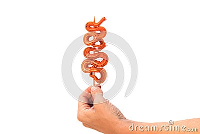 Male hand holding grilled snakes on a skewer Stock Photo