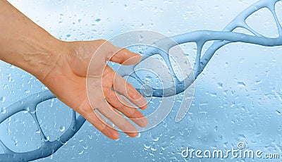 male hand, human dna structure with helix, deoxyribonucleic acid, nucleic acid molecules, human genotype, genome research method, Stock Photo