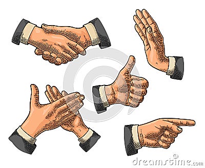 Male Hand sign. Like, Handshake, Ok, Stop, Middle finger, Victory Vector Illustration