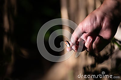 Male hand throws out a wedding ring. The concept of divorce, loneliness, longing. Stock Photo