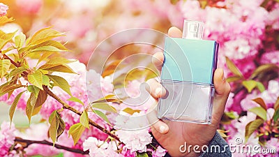 Male hands holding cologne bottle. Spring natural background. Man prefers expensive fragrance smell Stock Photo