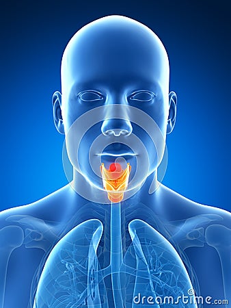 Male highlighted larynx Cartoon Illustration