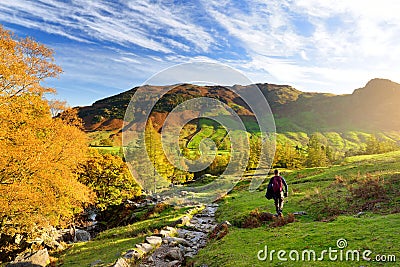 Male hiker exploring the Great Langdale valley in the Lake District, famous for its glacial ribbon lakes and rugged mountains Stock Photo