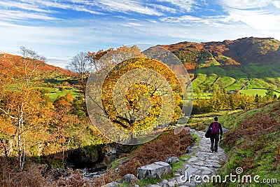 Male hiker exploring the Great Langdale valley in the Lake District, famous for its glacial ribbon lakes and rugged mountains Stock Photo