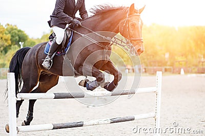 Male horse rider jumps over hurdle on competition Stock Photo