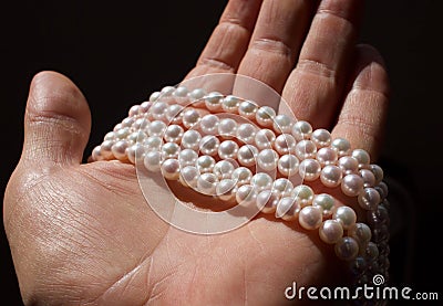 Numerous strands of cultured Japanese Akoya pearls. Stock Photo