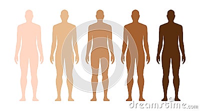 Male human model with different skin tones. Vector Illustration