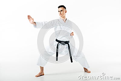 male karate fighter standing in pose Stock Photo