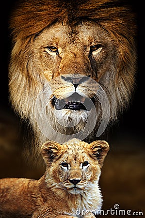 Male lion and cub portrait on savanna landscape background Stock Photo