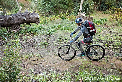 Male mountain biker riding bicycle in the forest Stock Photo