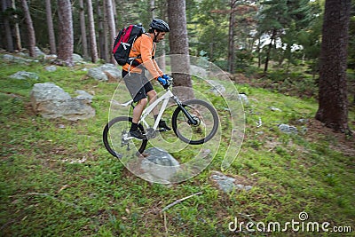 Male mountain biker riding bicycle in the forest Stock Photo