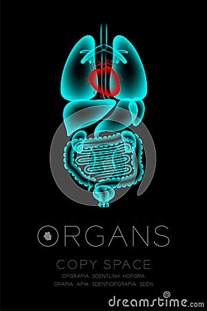 Male Organs X-ray set, Heart infection concept idea red color Vector Illustration
