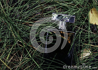 Male perfume bottle in the green grass Stock Photo