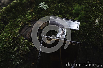 Male perfume bottle lying on the natural moss Stock Photo