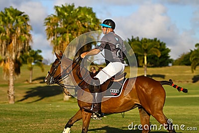 Male Polo Player Editorial Stock Photo