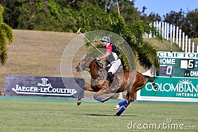 Male Polo Player Editorial Stock Photo