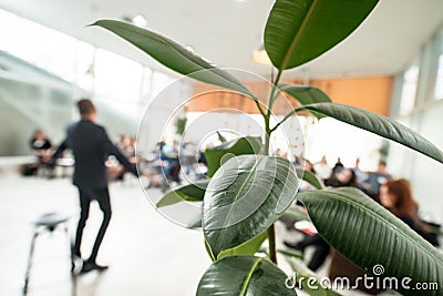 Male professor conducts training in front of a large audience Stock Photo