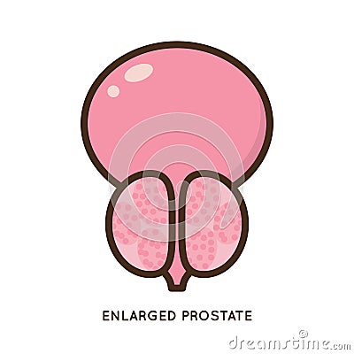Male prostate disease vector icon flat illustration Vector Illustration