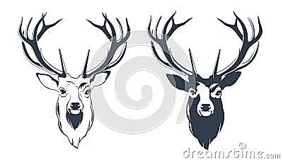 Male Red Deer Head Vector Illustration