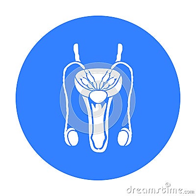 Male reproductive system icon in black style on white background. Organs symbol stock vector illustration. Vector Illustration