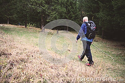 Rescuer Inspecting Woods Searching and Save Missing Person Stock Photo