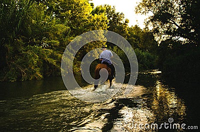 Male riding a horse through a river in the forest in summer Editorial Stock Photo