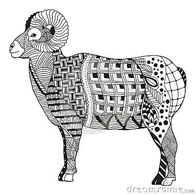 Male rocky mountain bighorn sheep ram standing zentangle stylize Vector Illustration