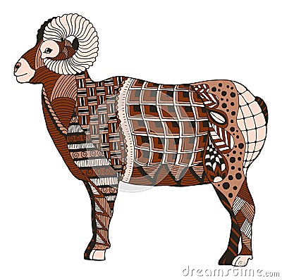 Male rocky mountain bighorn sheep ram standing zentangle stylize Vector Illustration