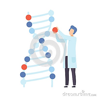 Male scientist next to a chromosome model. Vector illustration. Vector Illustration