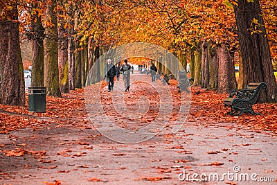 Male seniors walking on a treelined path in Greenwich park during autumn season Editorial Stock Photo