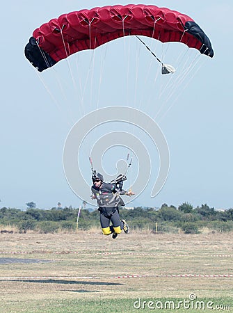 Male skydiver coming in for extra fast landing on grass with ope Editorial Stock Photo