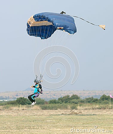 Male skydiver coming in for fast landing on grass Landing Seri Editorial Stock Photo