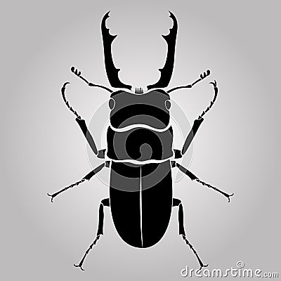 Male stag-beetle Vector Illustration