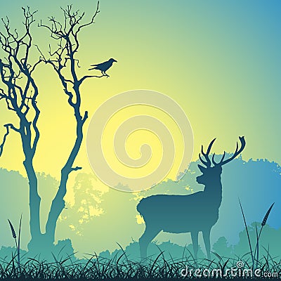 Male Stag Deer Vector Illustration