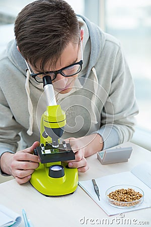 Male student working at biology classroom Stock Photo