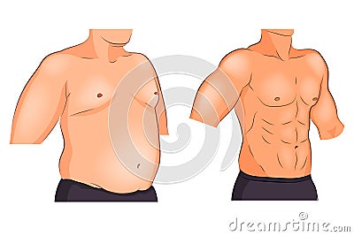 Male torso before and after weight loss and sports Vector Illustration