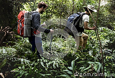 Male tourists trekking in a forest Stock Photo