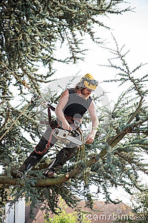 Male Tree Surgeon using a chainsaw Stock Photo