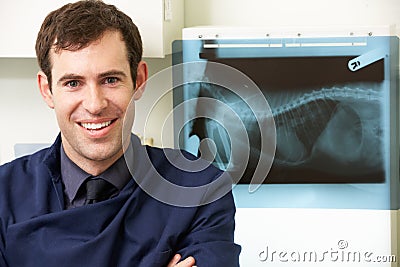 Male Veterinary Surgeon Examining X Ray In Surgery Stock Photo