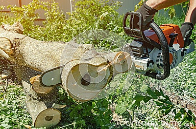 Male worker cuts wood with an electric chainsaw Stock Photo