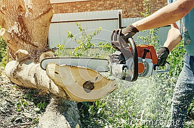 Male worker cuts wood with an electric chainsaw Stock Photo