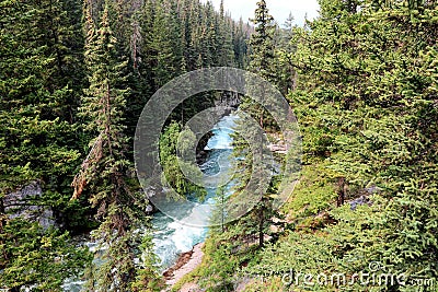 Maligna Canyon Alberta Canada Stock Photo