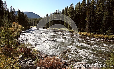 Maligne River in Jasper Stock Photo