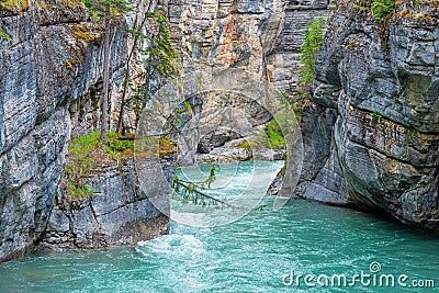 Maligne River and Canyon, Jasper, Canada Stock Photo